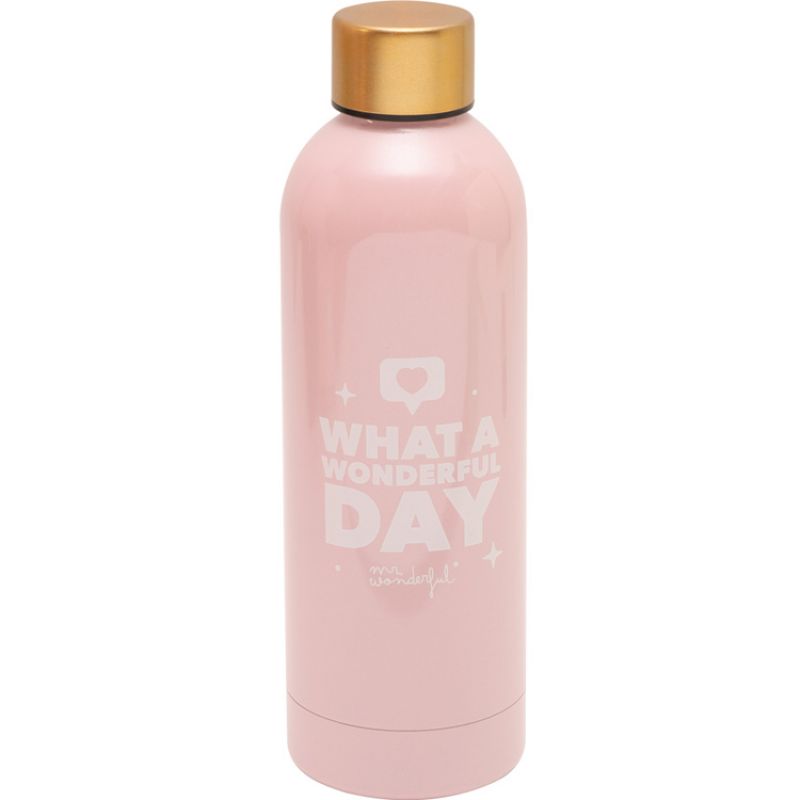 Gourde isotherme What a wonderful day (750 ml) Mr. Wonderful