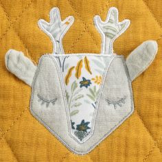 Protège carnet de sante Promenons-nous