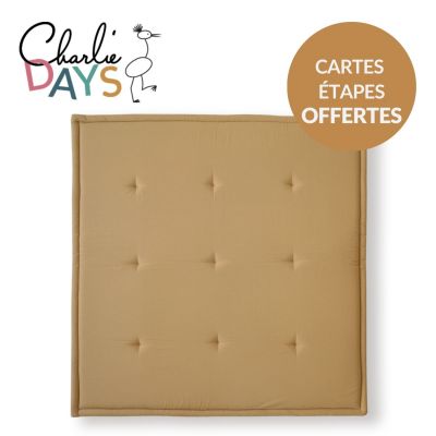 Pack tapis de jeu Tami Camel + cartes étapes ma première année  par Charlie Crane