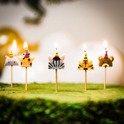 Lot de 5 bougies d'anniversaire animaux Jungle Fever
