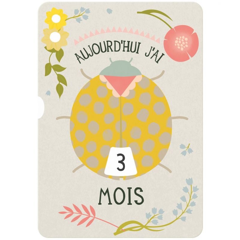 Cartes à disque souvenirs Ma première année (0-12 mois) Milestone