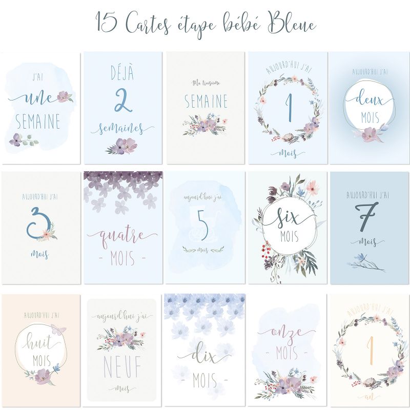 Cartes étapes de bébé Ma première année bleu (15 cartes) Spiritus Naturae