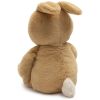 Peluche Jollies Bunny Luz (18 cm) Jollein Produit 3