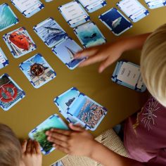 Cartes Flash Mers et Océans (40 cartes photos et mots)