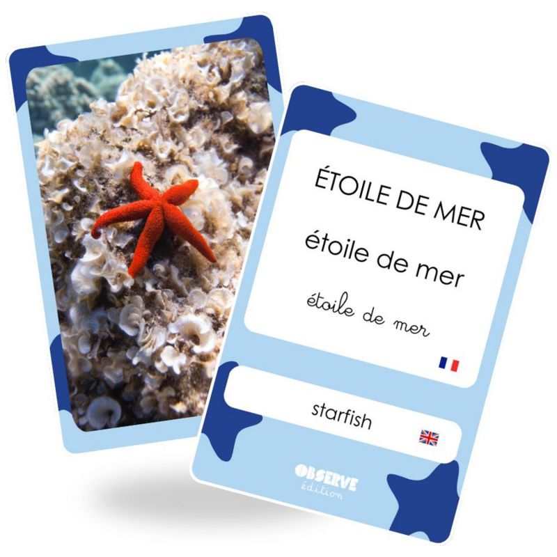Cartes Flash Mers et Océans (40 cartes photos et mots) Observe Édition Produit 4