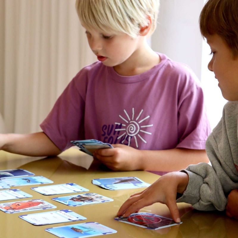 Cartes Flash Mers et Océans (40 cartes photos et mots) Observe Édition Ambiance 6