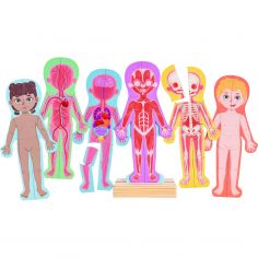 Puzzle aimanté Le corps humain - Hape