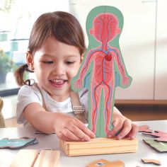 Puzzle aimanté Le corps humain