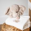 Peluche Fanfan l'éléphant Sable (28 cm) Nattou Ambiance 2