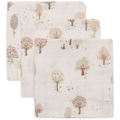 Lot de 3 mini langes en gaze de coton Tiny Park (31 x 31 cm) - Jollein