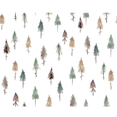 Papier peint Pine Woods (50 cm x 10 m)  par Lilipinso