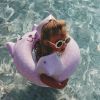 Bouée animal Léopard lila (55 cm) Swim Essentials Ambiance 3