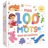 Livre Mes 100 mots tout en couleurs Auzou Editions Produit 1