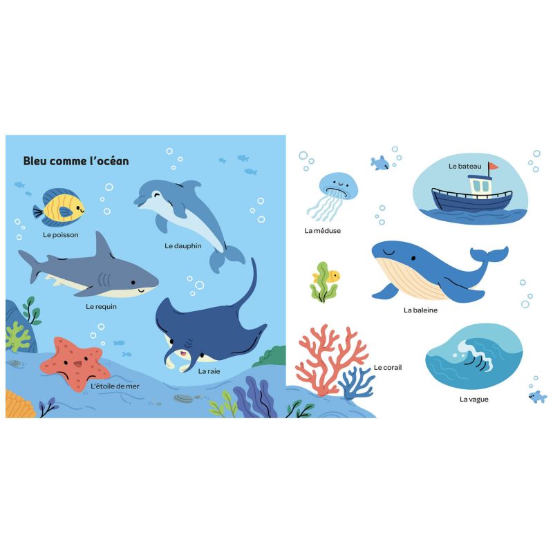 Livre Mes 100 mots tout en couleurs Auzou Editions Produit 4