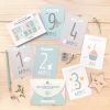 Kit premiers mois de bébé (12 cartes)  par Zü