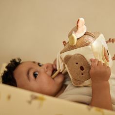 Cube d'activités Kangaroots