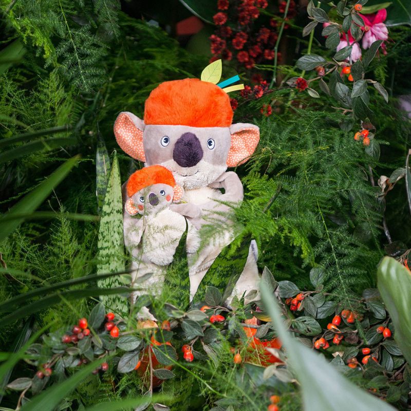 Image d'ambiance de présentation du produit Peluche d'activités Koco le koala Dans la Jungle - Moulin Roty