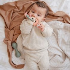 Jouet de dentition Ring Dino