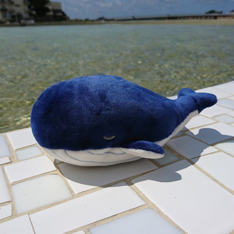 Image d'ambiance de présentation du produit Peluche Nemu Nemu Kanaroa la Baleine (13 cm) - Trousselier