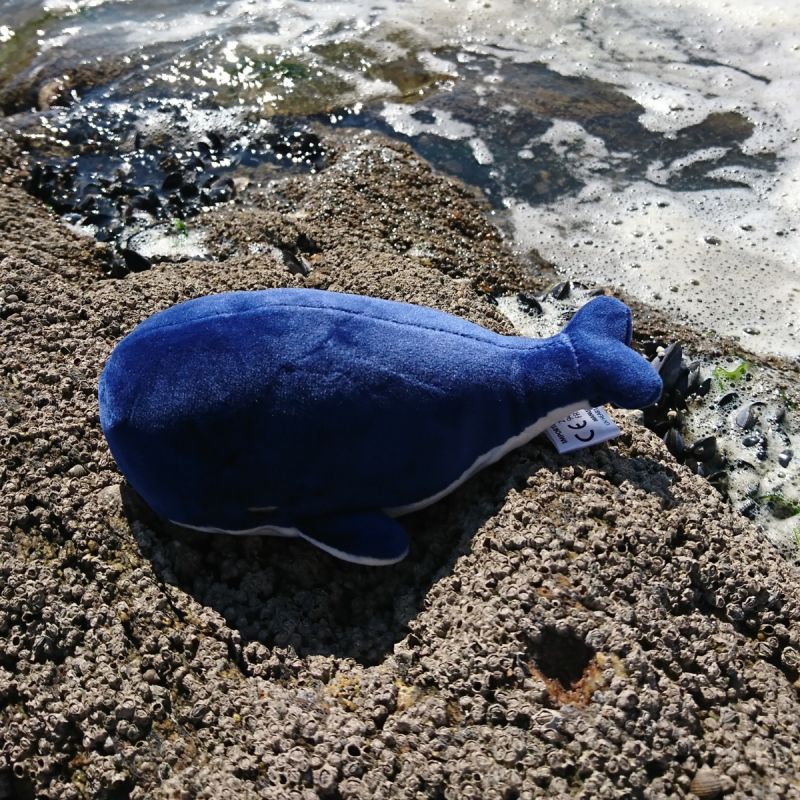 Porte-clé peluche Nemu Nemu Kanaroa la Baleine (13 cm) Trousselier Ambiance 3