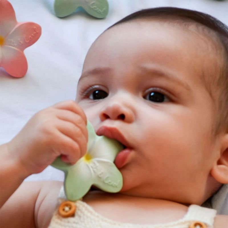 Coffret anneaux de dentition Banana Oli & Carol Ambiance 5