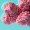 Peluche Amuseable Corail (16 cm) Jellycat Ambiance 6