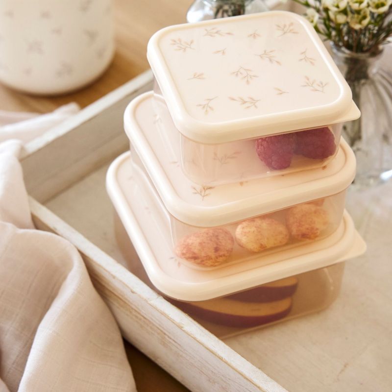 Lot de 3 boîtes à goûter Miracle of Nature Lässig Ambiance 2
