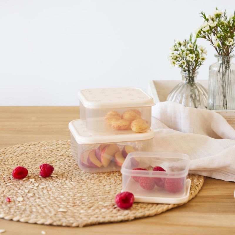 Lot de 3 boîtes à goûter Miracle of Nature Lässig Ambiance 5