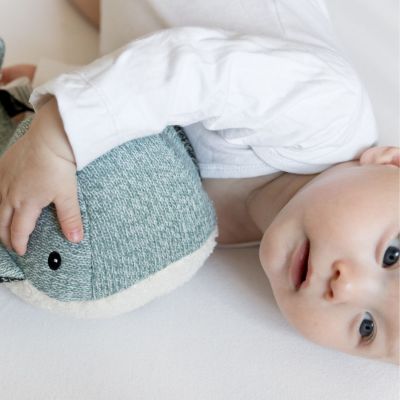 Peluche bruit blanc rechargeable baleine Moby vert