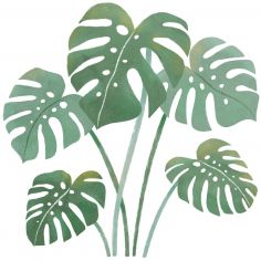 Sticker Feuilles de monstera - Lilipinso