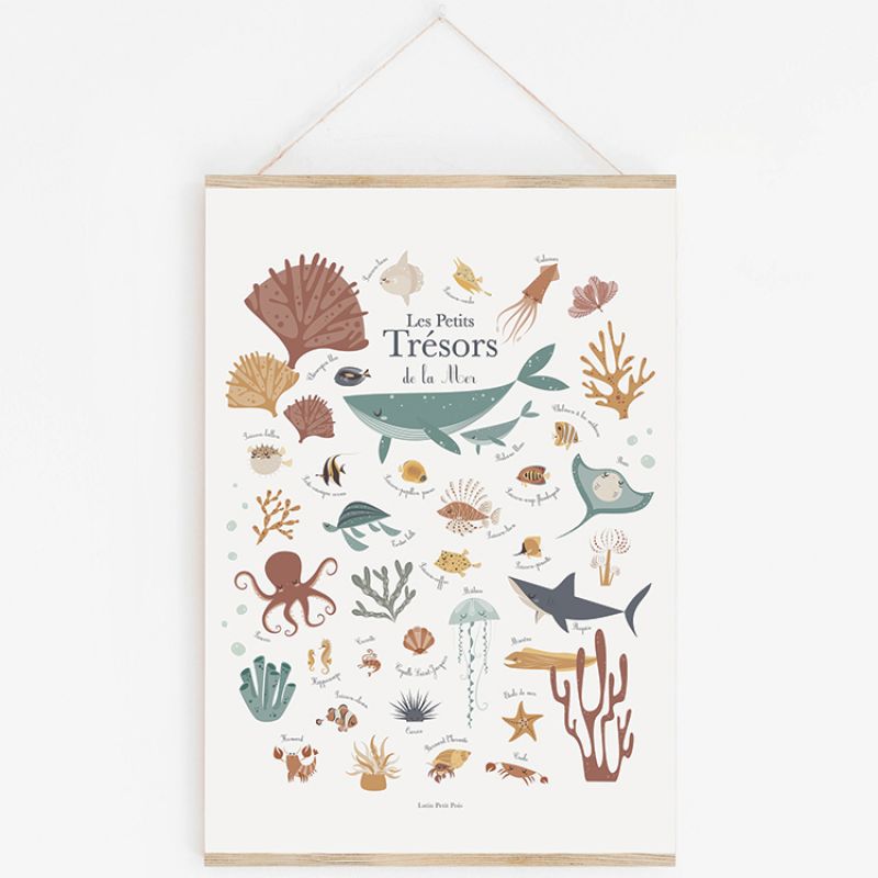 Affiche A3 Les petits trésors de la mer avec support Lutin Petit Pois