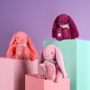 Peluche Lapin Fleurette Prune (35 cm) Doudou et Compagnie Ambiance 5