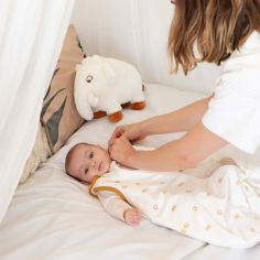 Gigoteuse Diplododo TOG 2,5 (0-6 mois)