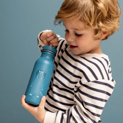 Gourde Mr. Triceratops (500 ml)