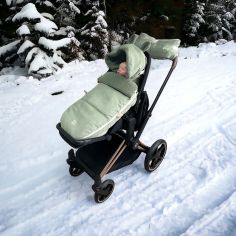 Chancelière d'hiver Hau Kea mineral green