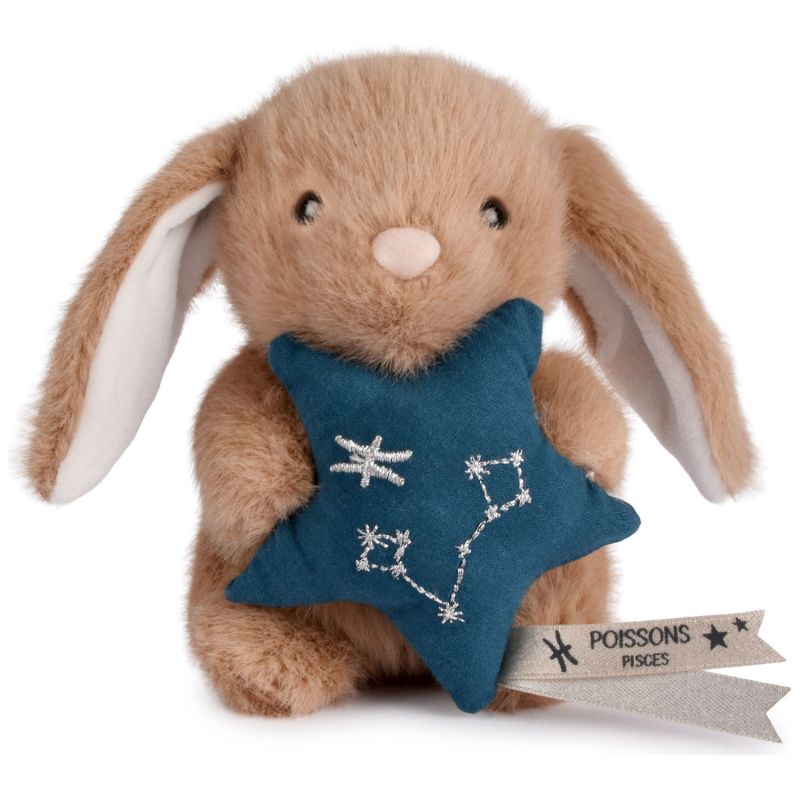 Doudou Astro Poissons (12 cm) Doudou et Compagnie Produit 3