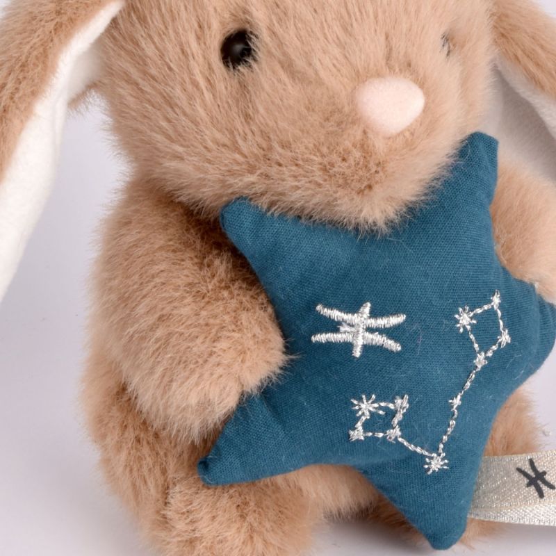 Doudou Astro Poissons (12 cm) Doudou et Compagnie Ambiance 4