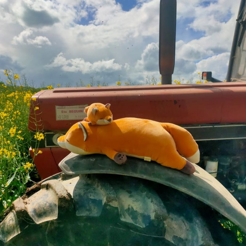 Porte-clé peluche Nemu Nemu Konta le Renard (11 cm) Trousselier Ambiance 9