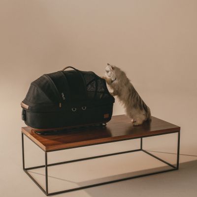 Siège auto et caisse de transport pour animaux de compagnie MAEVE SMALL FLEX ONYX