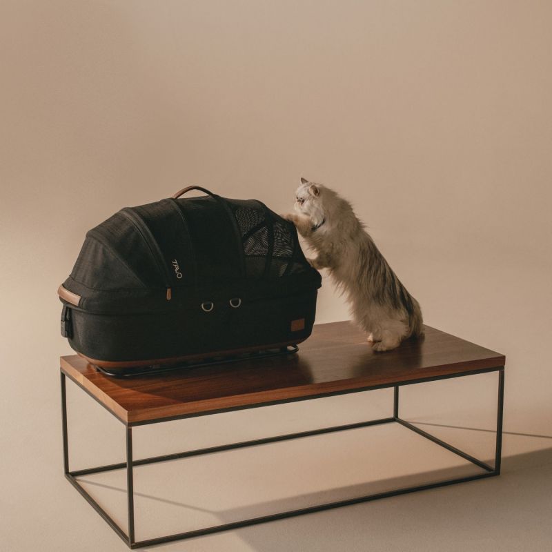 Siège auto et caisse de transport pour animaux de compagnie MAEVE SMALL FLEX ONYX Tavo Ambiance 1