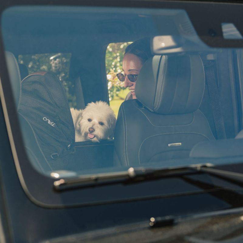 Siège auto et caisse de transport pour animaux de compagnie MAEVE SMALL FLEX ONYX Tavo Ambiance 6