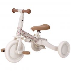 Tricycle 4 en 1 Sunny Flowers - Little Dutch