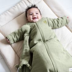 Gigoteuse 4 saisons TOG 1,4 Bliss Sage Mr. Dino (3-8 mois)