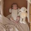 Lot de 2 bodies Ourson (3 mois) Trois Kilos Sept Ambiance 7