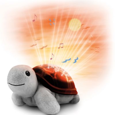 Pousse Pousse tortue lumineuse et musicale pour bébé