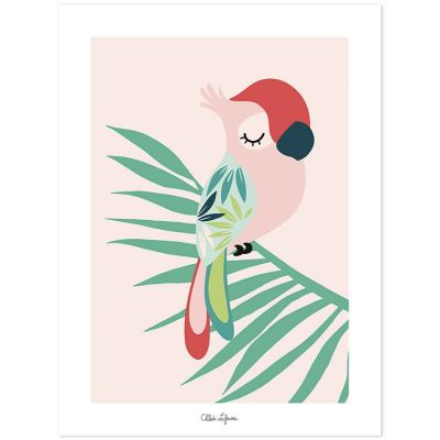 Affiche perroquet rose (30 x 40 cm)  par Lilipinso