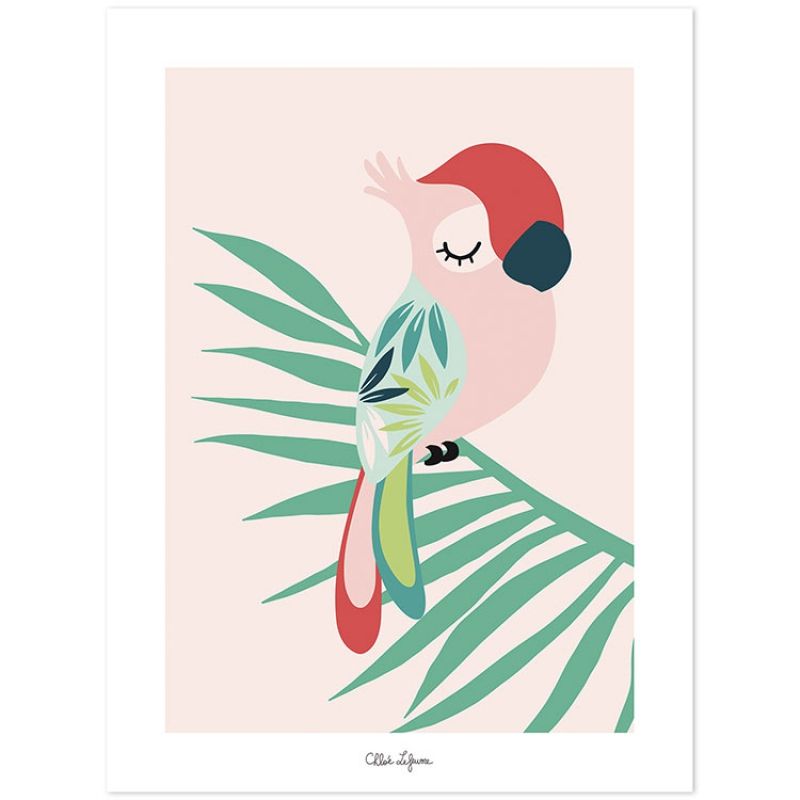 Affiche perroquet rose (30 x 40 cm) Lilipinso
