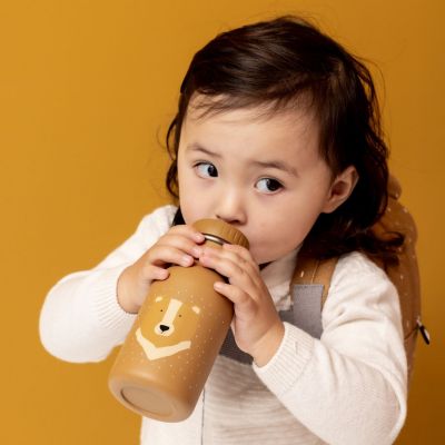 Gourde Mr. Bear (350 ml)