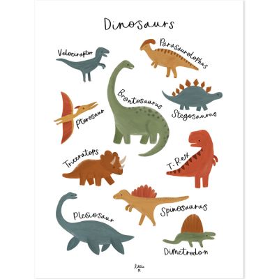 Affiche Dinosaurs Species (30 x 40 cm)