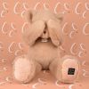Peluche ours Clémentin Miel Amande (38 cm) Histoire d'Ours Ambiance 3